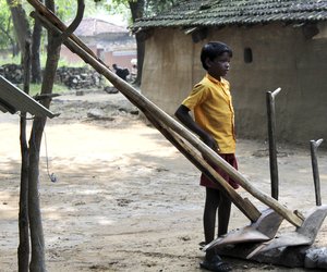 When the cows come home to Parkidih