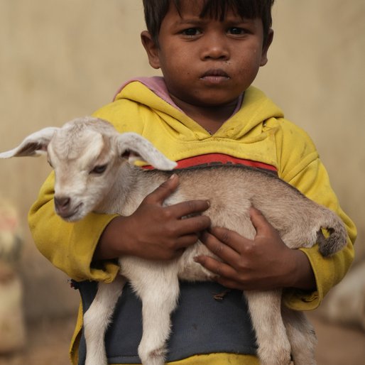 Raushan Kumar is a person from Naya Tola Madhopur, Bakhtiarpur, Patna, Bihar