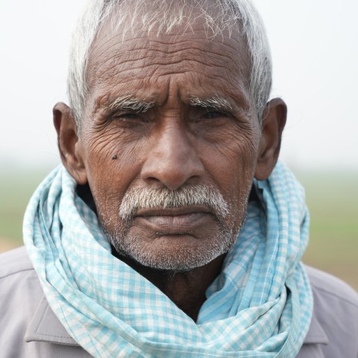 Janardan Ram is a Tenant farmer (cultivates mustard and rice) from Dallu Chak, Belchhi, Patna, Bihar