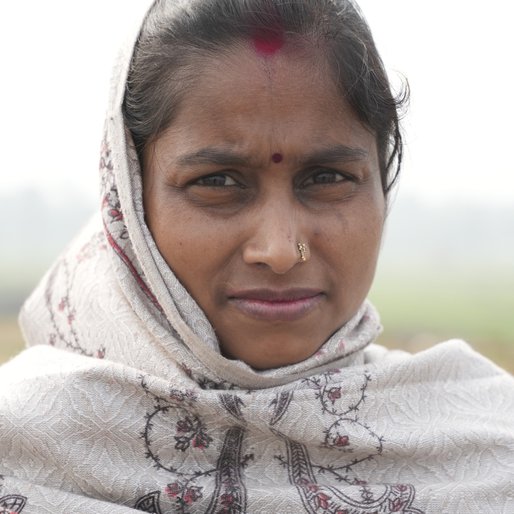 Shivam Devi is a Homemaker, farmer and cattle-rearer from Sikandra, Belchhi, Patna, Bihar