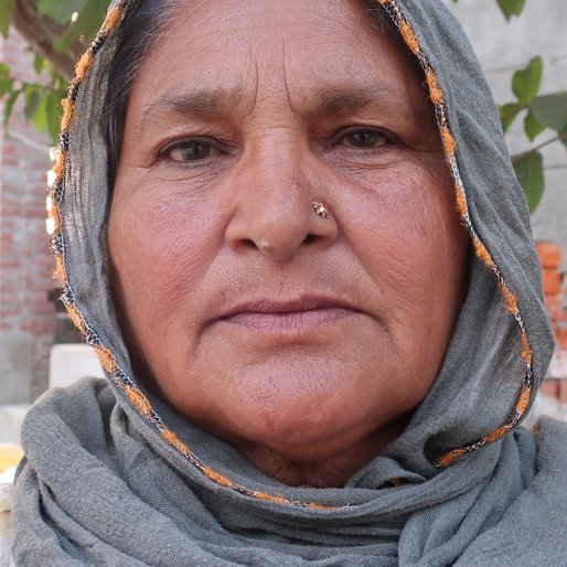 Shinder Kaur is a Farm labourer and MGNREGA worker from Phaggan Majra, Patiala Rural, Patiala, Punjab
