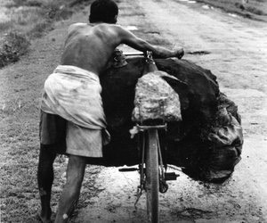 Coal carriers carrying coal from waste dumps 