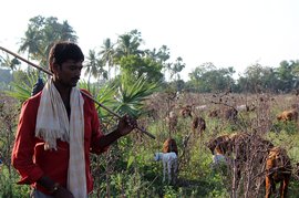 ଅମରାବତୀର ଚାରି ଗୋଡ଼ ବିଶିଷ୍ଟ ‘ପ୍ରଥମ ନାଗରିକ’