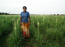 A thorny life, but Chandra bets on flowers