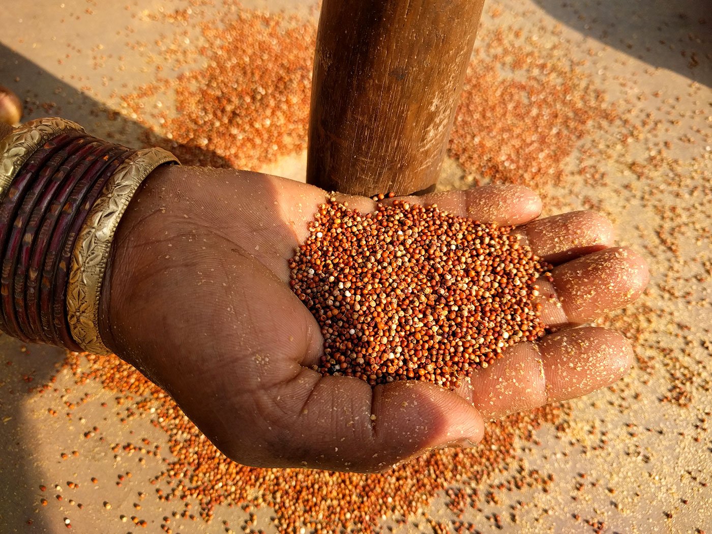 Chompa Silpadia, 45, removes the husk just before cooking. She removes the husk using a baseball-bat shaped wooden log. She is from Paliguda, Chandrapada GP [Boipariguda block].