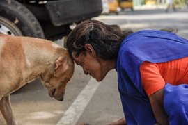 રીટા‌ ‌અક્કાની‌ ‌જિંદગી‌ ‌કૂતરા‌ ‌બિલાડાને‌ ‌નામ