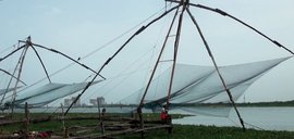 Casting a net in Fort Kochi