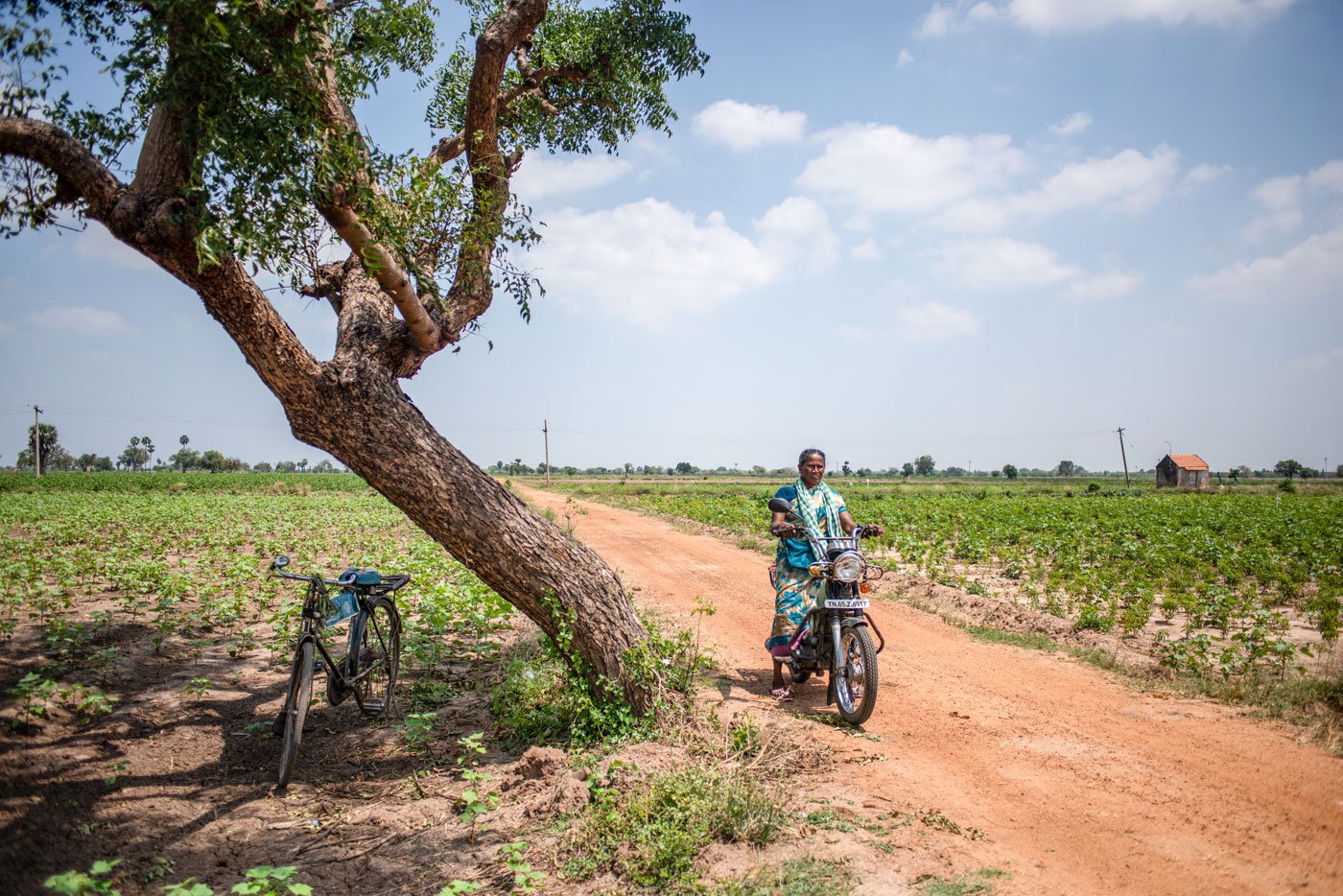 J. Adaikalaselvi, a farmer in Ramanathapuram, Tamil Nadu’s top chilli -producing district, takes us through the hurdles in producing the lucrative crop: price fluctuations, water scarcity and climate change