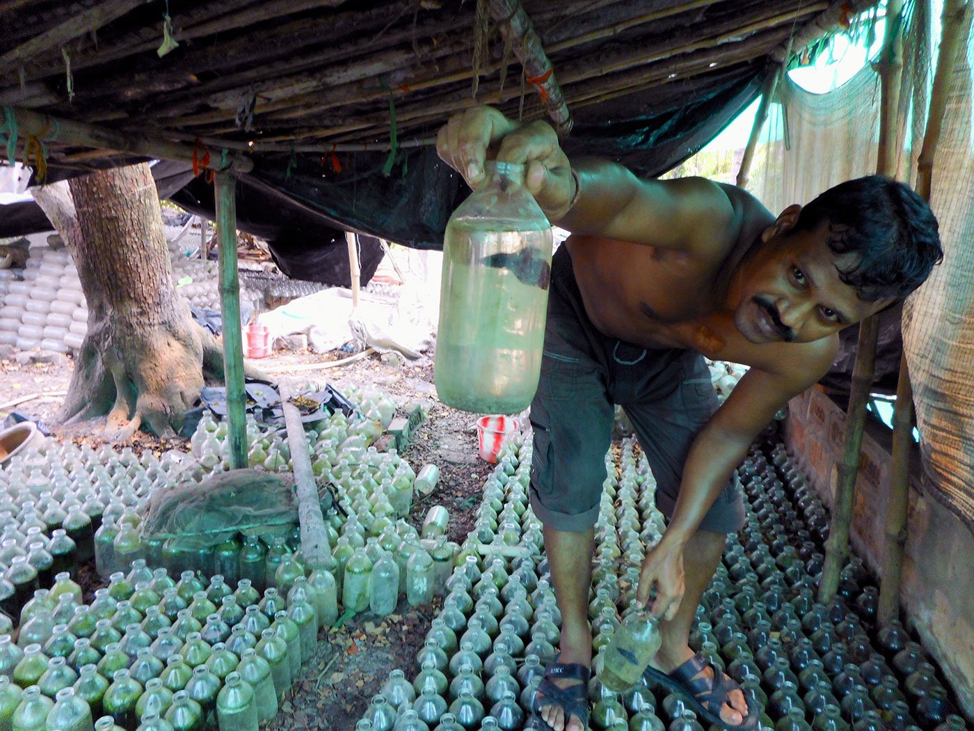 UttamMistry with a fighter fish in a bottle