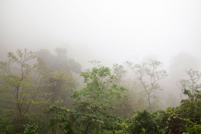 Eaglenest Wildlife Sanctuary covers 218 square kilometres in Arunachal Pradesh’s West Kameng district