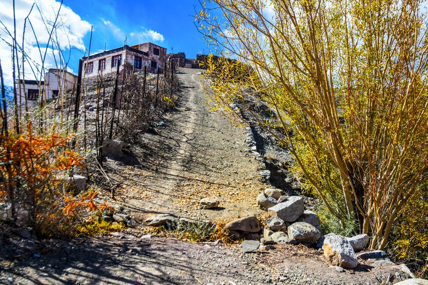 Left: The Matho monastery, home to ancient thangka paintings dating back to the 14th century, is situated on an uphill road .