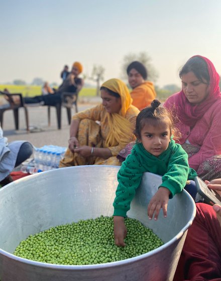 One of the youngest protestors at the Rajasthan-Haryana border pitches in to help his family prepare aloo mutter for a hundred people

