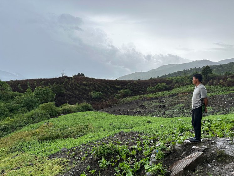 Right: Farmers like Paolal say that Manipur's war on drugs campaign to stop poppy cultivation has been unsuccessful in the absence of  consistent farming alternatives.