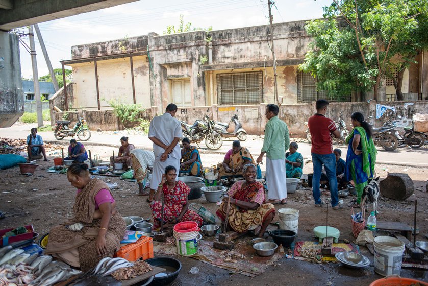 At the Cuddalore Old Town harbour there are roughly 20 to 30 fish-cutters  and vendors and they are all women