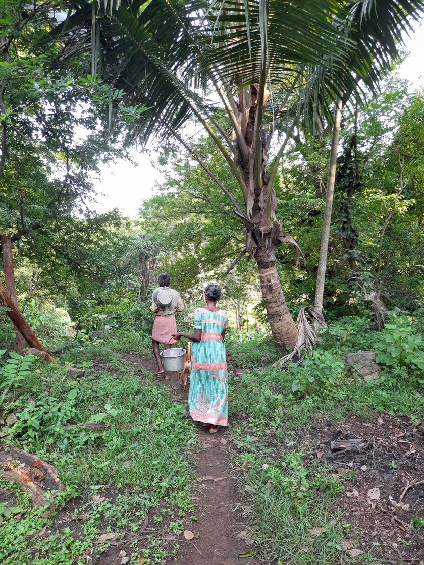 After breakfast, Srirangan and Leela walk back with buckets (left) in which they collect the latex in (right)