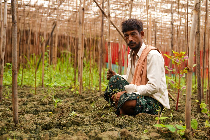 Newada district experienced intense heat in the summer of 2023, and many betel leaf farmers like Sunil (left) were badly hit. Karuna Devi (right) also does daily wage work in other farmers' betel fields for which she earns Rs. 200 a day