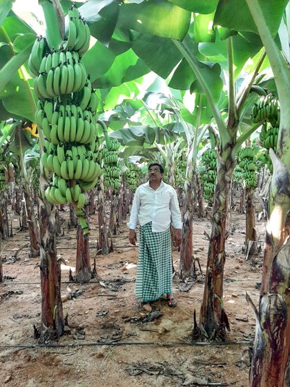 Banana cultivators C. Linga Reddy (left) and T. Adinarayana are steeped in debt due to the drastic drop in banana prices during the lockdown

