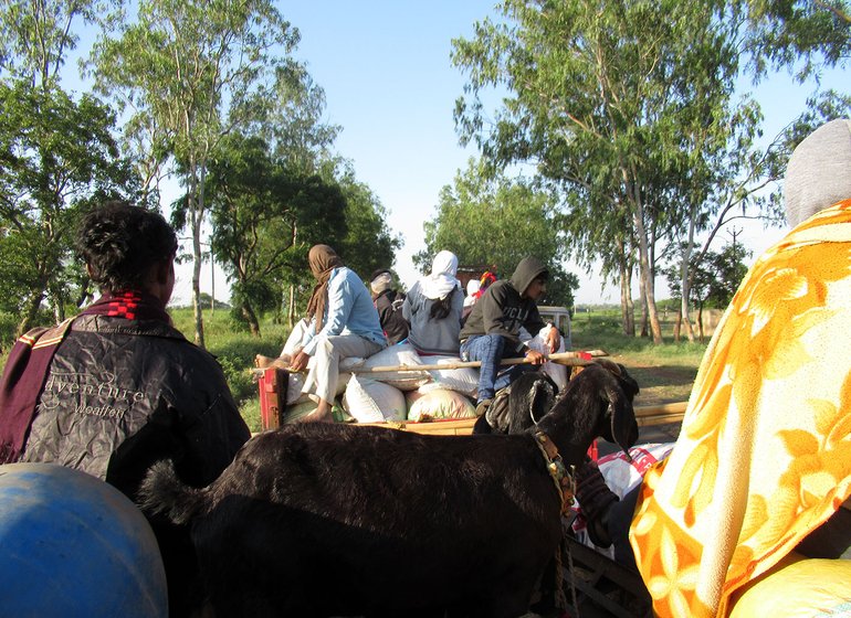 Lakhs of workers from the agrarian Marathwada region migrate to the sugar factories of western Maharashtra and Karnataka when the season begins in November every year. They cook and eat meals while on the road  

