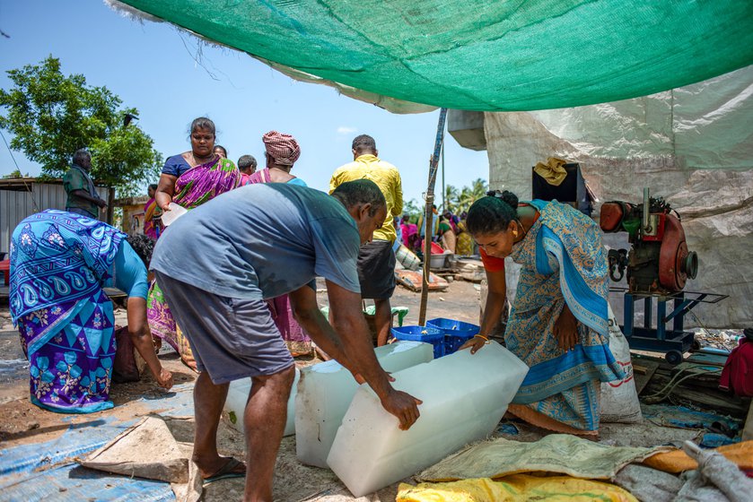 They bring the ice blocks to the fish market (left), where they crush them (right)