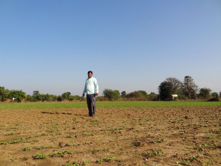 Bonde inspecting his farm which is ready for winter sowing