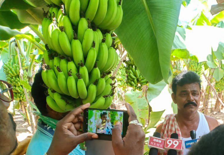 Banana cultivators C. Linga Reddy (left) and T. Adinarayana are steeped in debt due to the drastic drop in banana prices during the lockdown