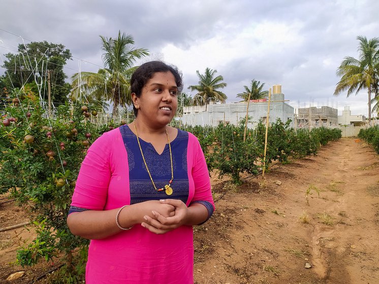 Manjunath Gowda has been a pomegranate farmer all his life. His wife, Priyanka also started farming after their marriage