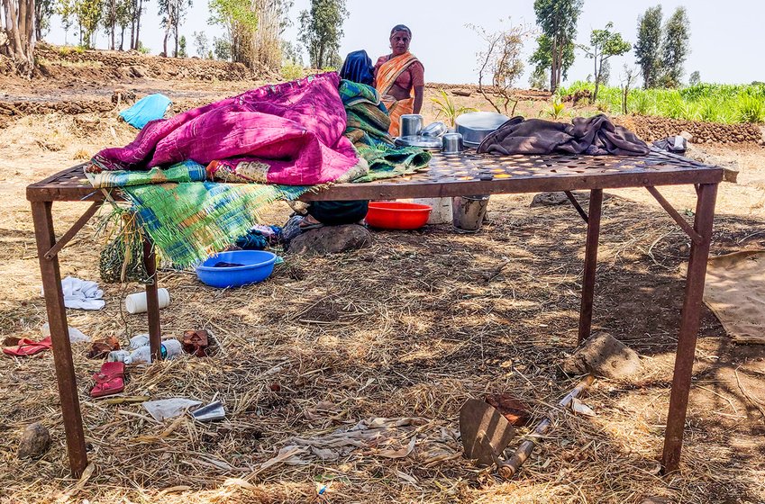 Metallic cots farmers sleep on in the fields, through the night. 