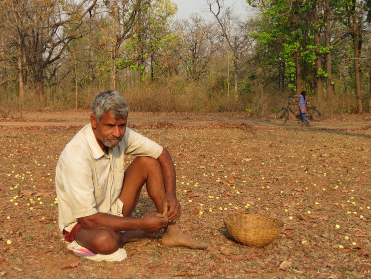 From the left: Durga Singh, Roshni Singh and Surjan Prajapati gathering mahua in the forest next to Parasi in Umaria district