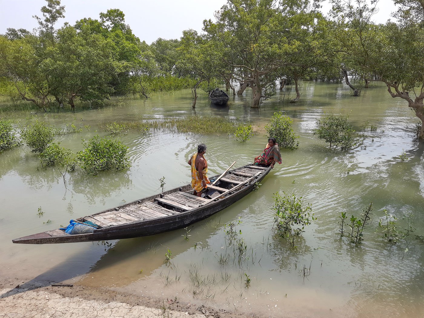 As the number of crabs decrease, Parul and Lokhi have to venture deeper into the mangrove forests to find them