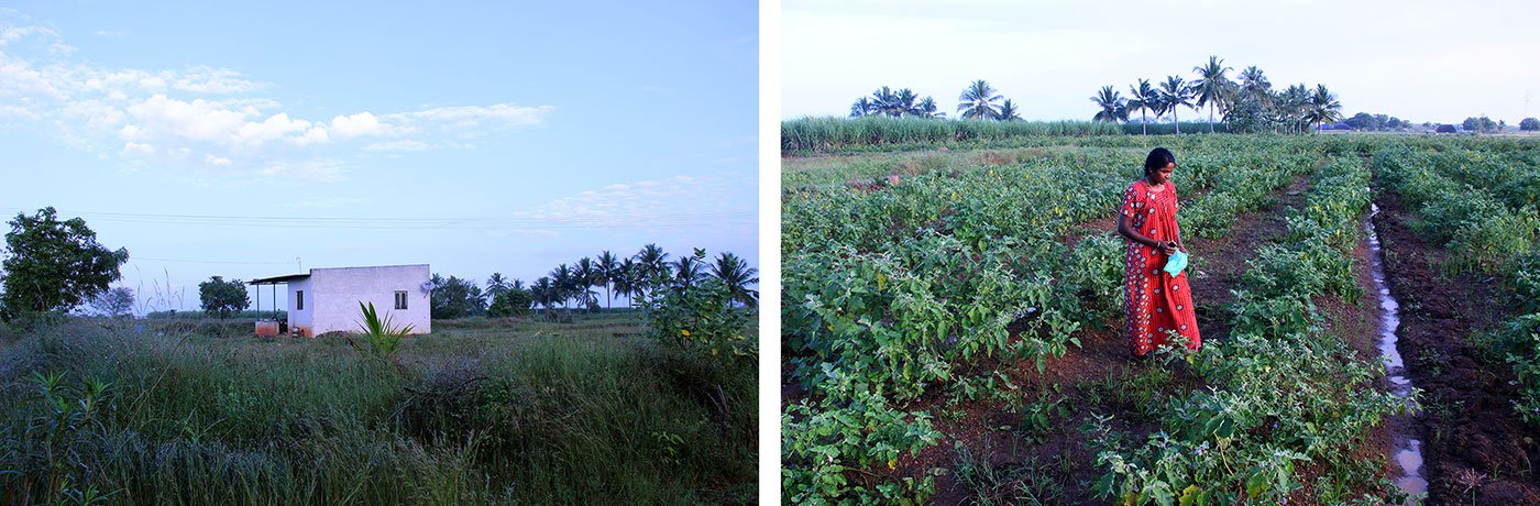 Chandra’s new house (left) and the fields behind 

