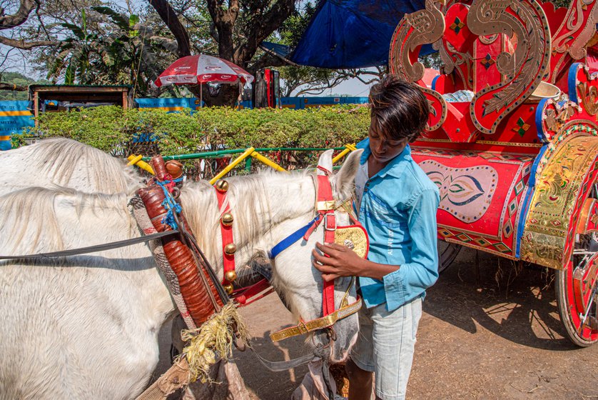 Left: 'It costs 500 rupees a day to take care of one horse,' Akif says.