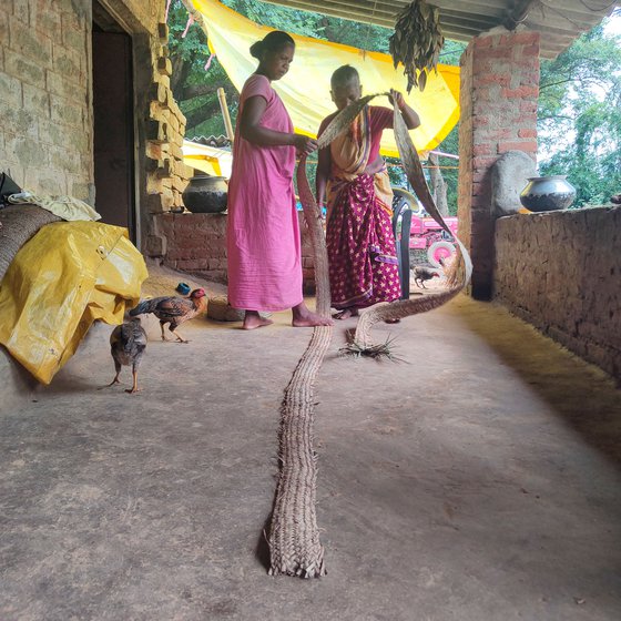 Elisaba (standing on the left) and Jolen measure the strips into equal lengths before they are cut. A wooden stick (right) comes in handy to ensure correct measurements