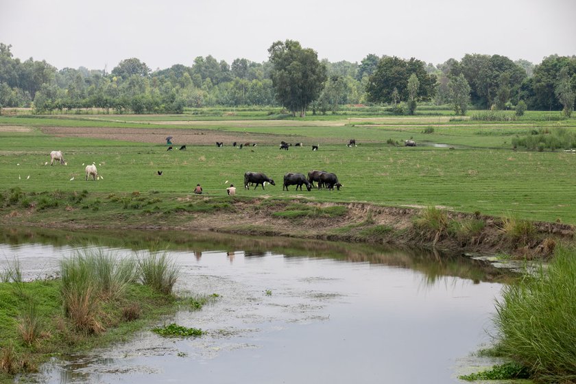 Left: The great length of the Sai river is caused by its meandering nature.