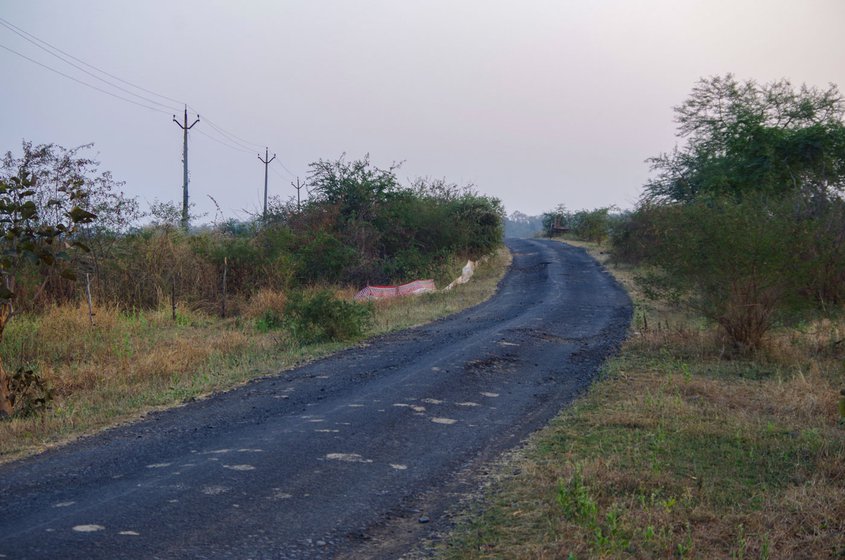 Monkeys frequent the forest patch that connects Kholdoda village, which is a part of Alesur gram panchayat