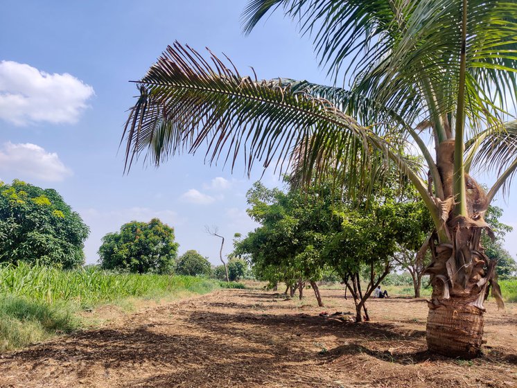 Left: Sunita says that from now on her young son will have to help her with farm work. Right: Ravi has taken on his father's share of the work at the farm