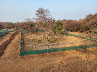 A map of the soft release enclosures (left) for the cheetahs and quarantine bomas (right)