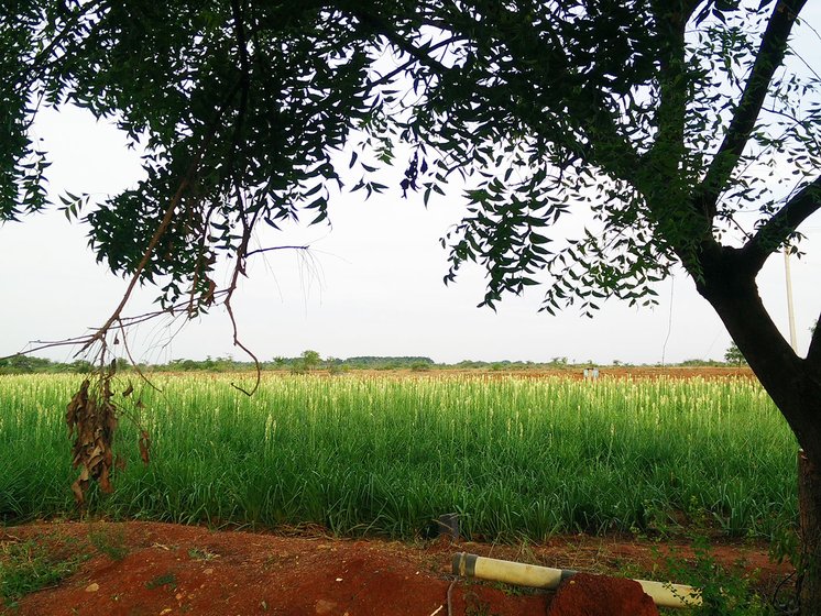 'My routine hasn’t changed much [with this lockdown]. Solitude is a way of life for me. I write in the first half of the day and spend the afternoons by the kanmai [pond], fishing'