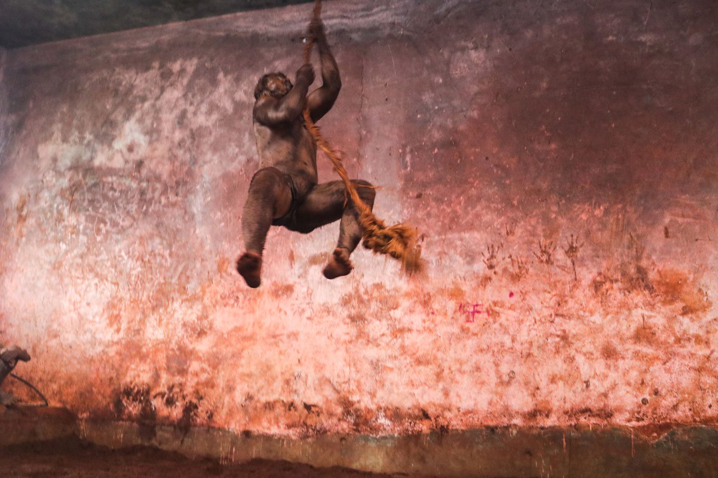 A pehelwan from Juney Pargaon climbing a rope, part of a fitness regimen. 'If you miss even a day of training, you go back by eight days', says Sachin Patil