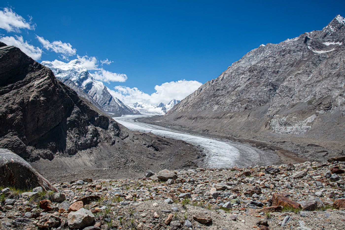 Unlike Changthang plateau where there are a large number of yak pastoralists, there are relatively few of them in the Zanskar valley