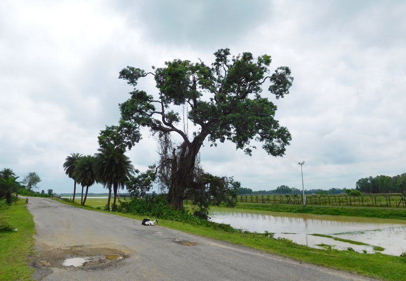 The road and gate at the border on the India side. At times, fights break out when cattle stray across, or straw is stolen or demarcation lines are disputed