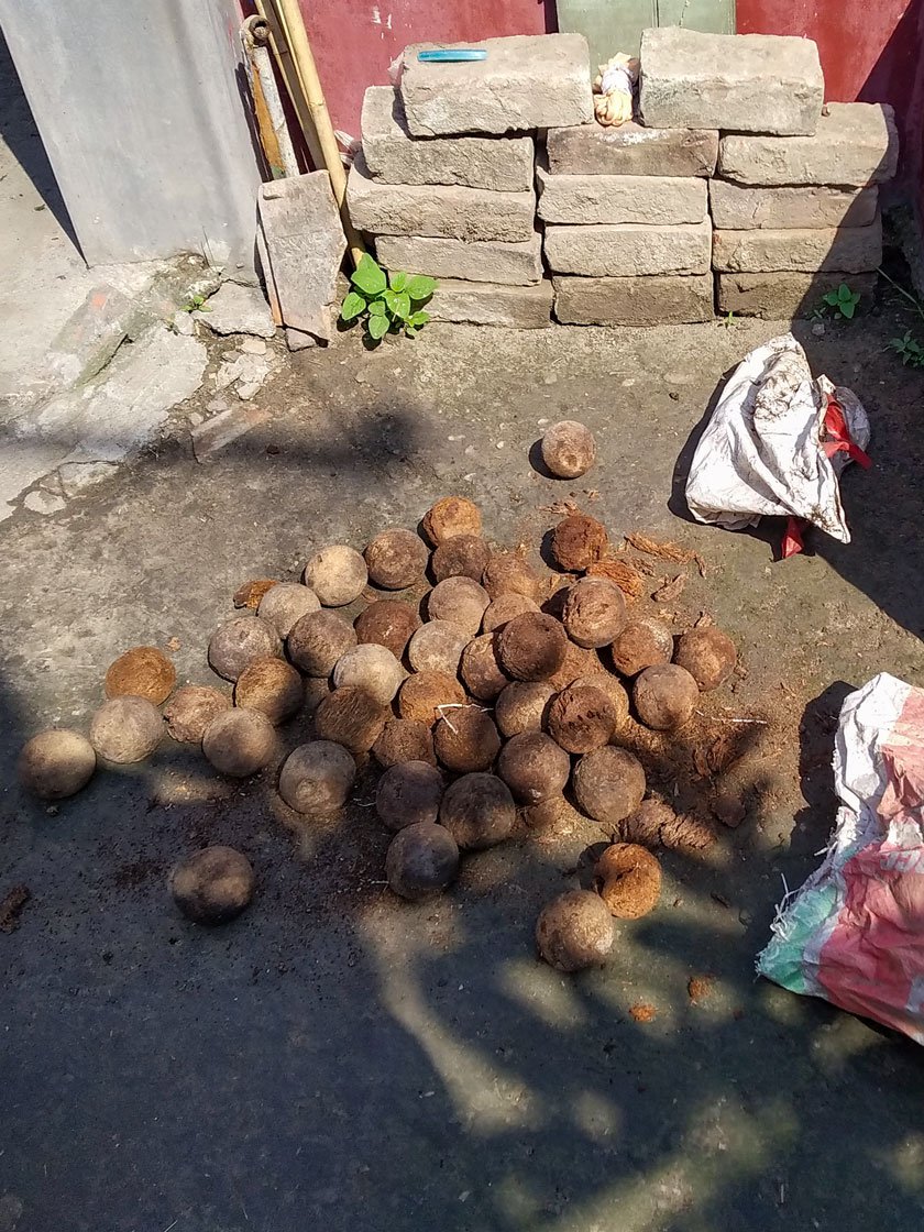 A sack full of old bamboo rhizome balls (left).