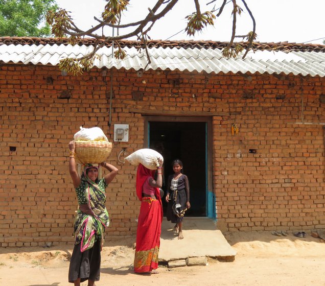 Left: Chandabai Baiga (in the green saree) and her relatives returning from the forest after gathering mahua. Right: Dried flowers in Chandabai's home