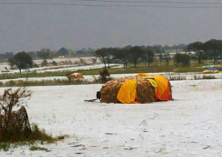 2014 hailstorm damage from the same belt of Latur mentioned in the story 