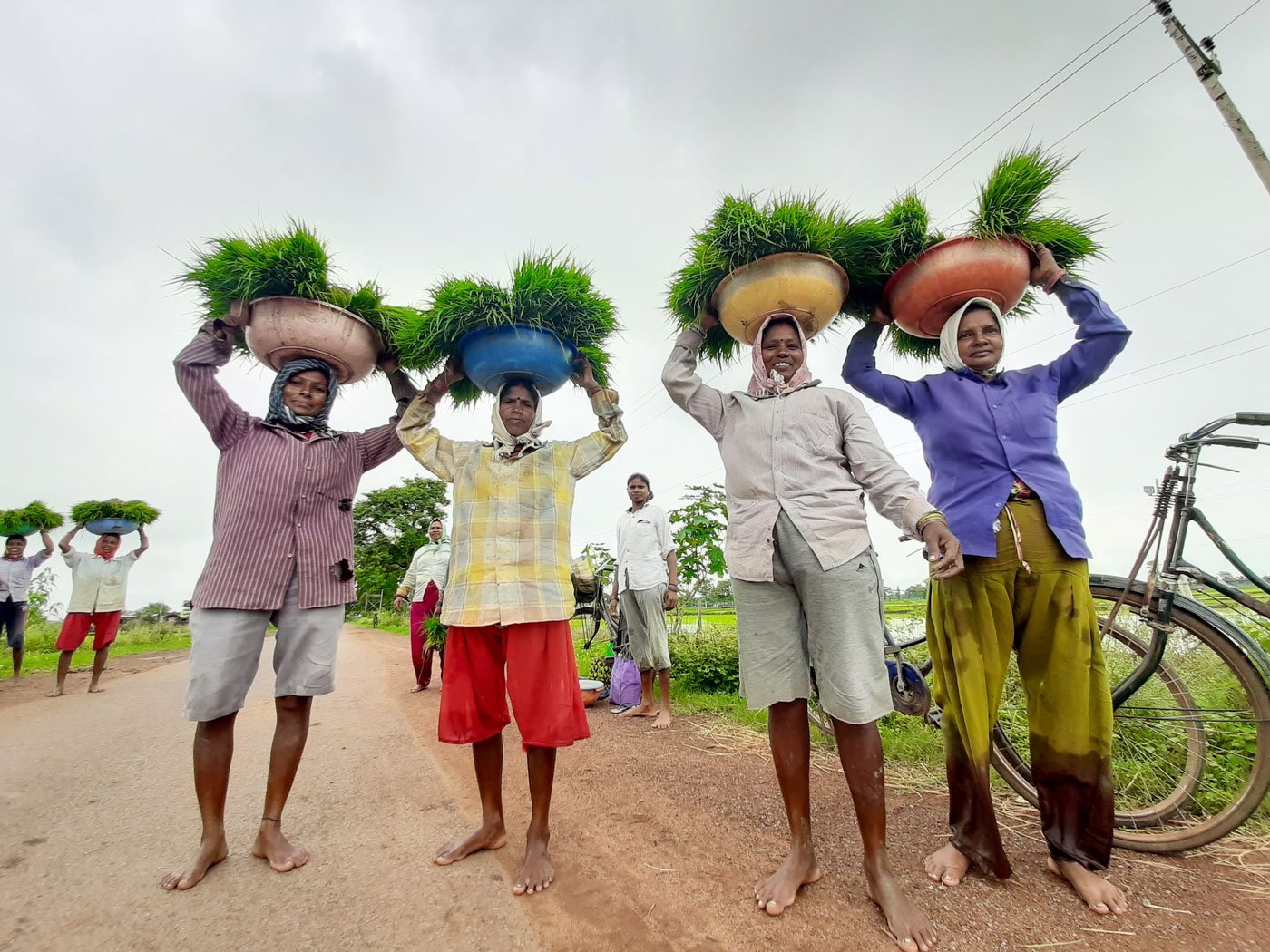 That’s a daily wage of around Rs. 260 for each labourer in the group