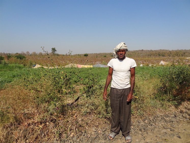 Here in Kholdoda village,  small farmer Vithoba Kannaka has used sarees to mark his boundary with the forest