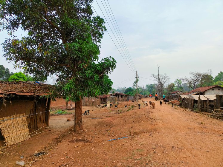 Right: The quiet and serene Mallampad village lies behind the Surjagarh mines. Inhabited by the Oraon tribe, it has seen a destruction of their forests and farms