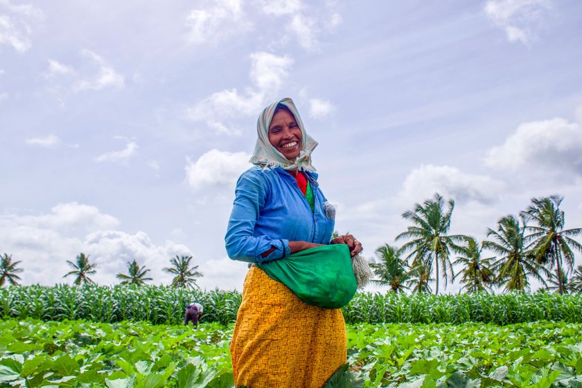 Left: Ratnavva looks for flowers of the okra plants to pollinate them. Right: Her bright smile belies her physically strenuous labour over long hours