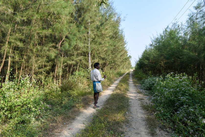 The Irula families of Bangalamedu depend on hunting for their meals. Left: M. Radha waits to trap a rabbit. Right: G. Subramani, catapult in hand, looks for birds

