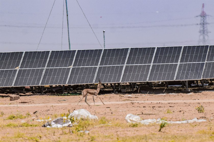 Right: Solar panels are rasing the ambient temperatures in the area