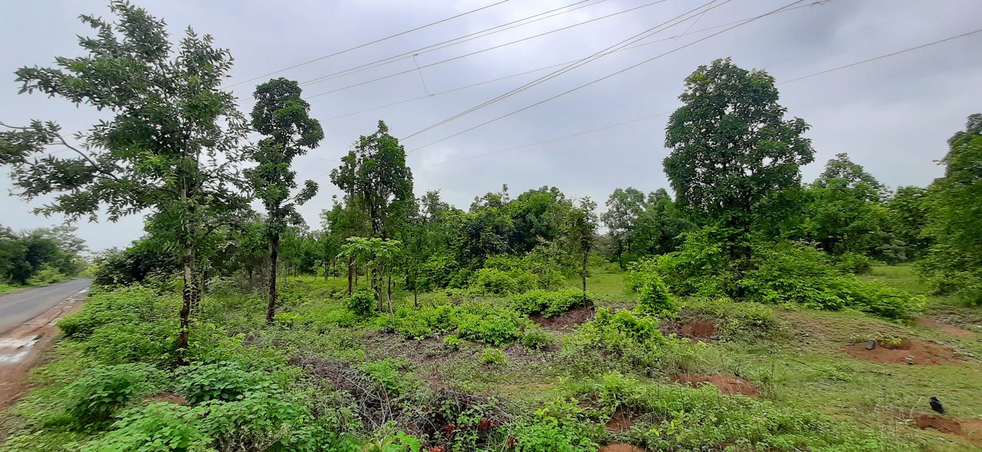 Tiger attacks are most numerous in forests and fields in the buffer zone and surrounding landscape, suggesting that some tigers are moving out of TATR